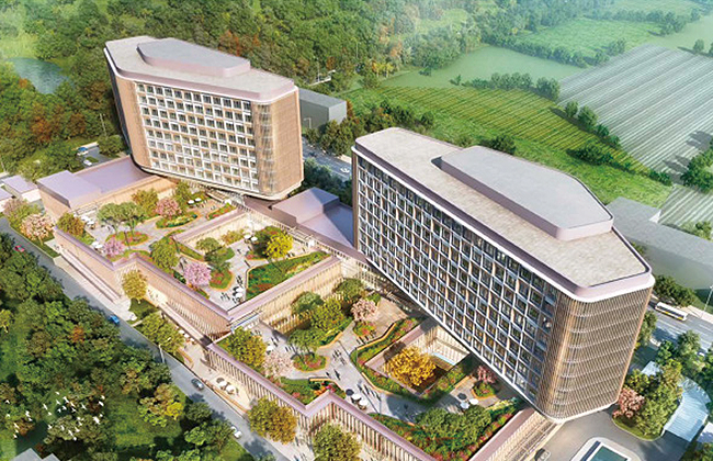 今年会衡阳绿心康养项目